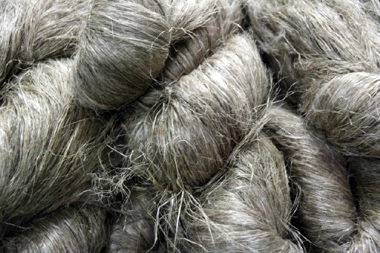 fibre de lin image sébastion Rade